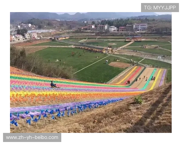 江西庐山风筝精英赛启动筹备工作机构人员选派通知引关注